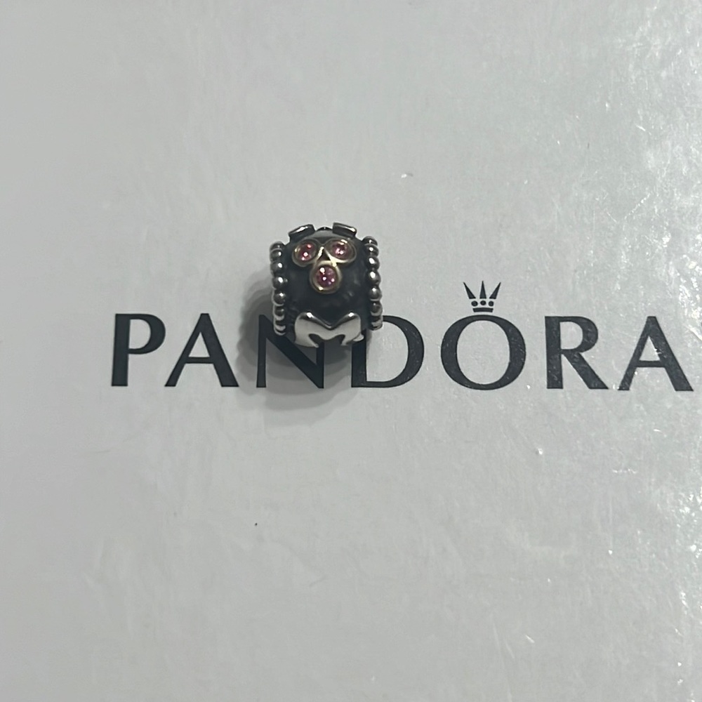 Pandora charm